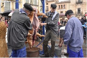 fiesta matanza cerdo Virrey Palafox El Burgo de Osma (Soria)