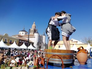 Fiesta de la Vendimia. Rueda (Valladolid).